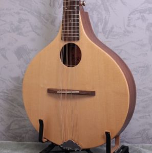 Một chiếc mandolin