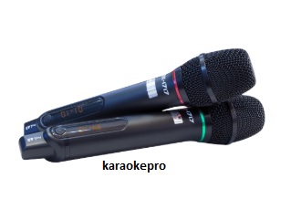 Micro Không Dây ProLAB DX-1717 chất lượng