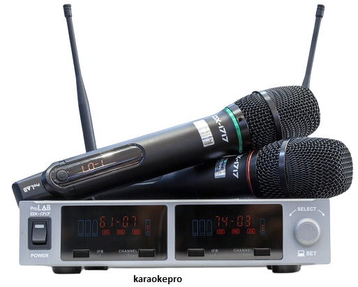 Micro Không Dây ProLAB DX-1717